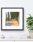 CYPRESS SHADOWS (PAPER PRINT) | SAMPLE SALE