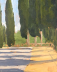 CYPRESS SHADOWS (PAPER PRINT) | SAMPLE SALE