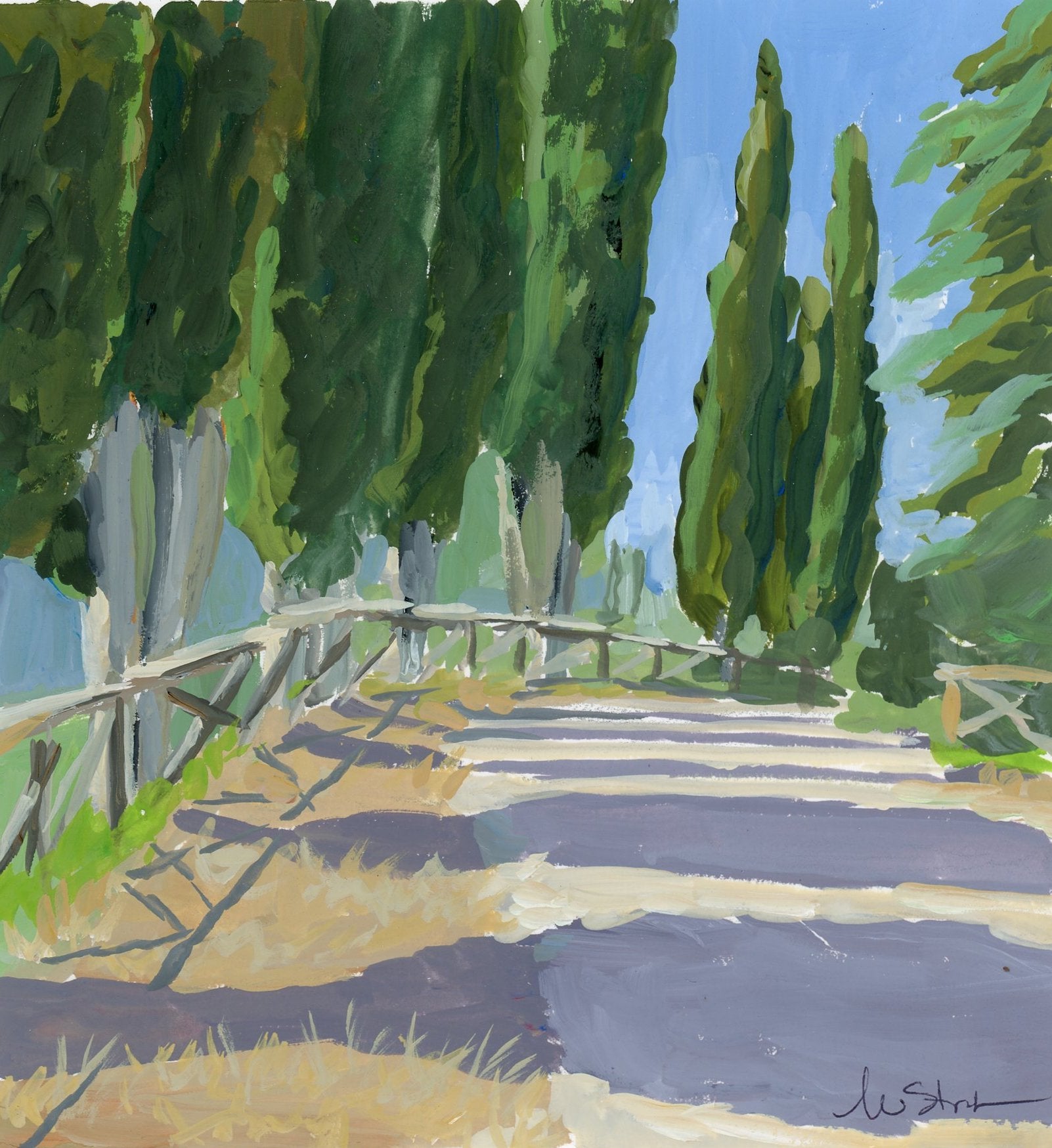 CYPRESS SHADOWS