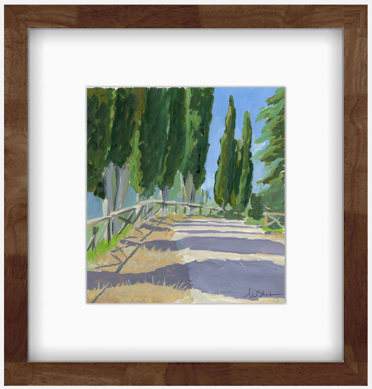 CYPRESS SHADOWS