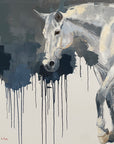 a white horse walking and dripping dark background.