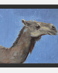 MOROCCAN CAMEL