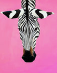 Zebra head on a pink background