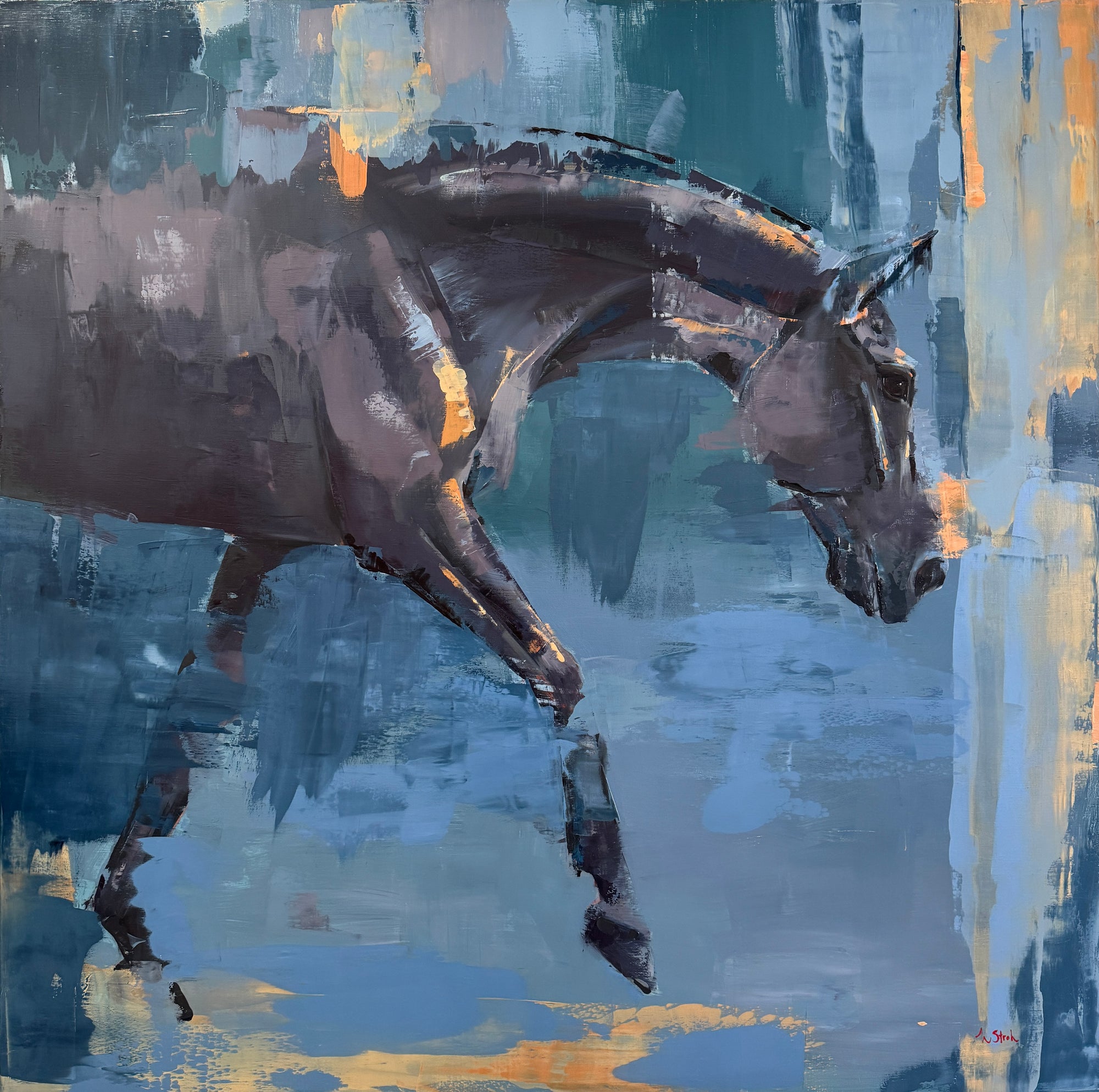 DARK HORSE '24 | Studio Sample