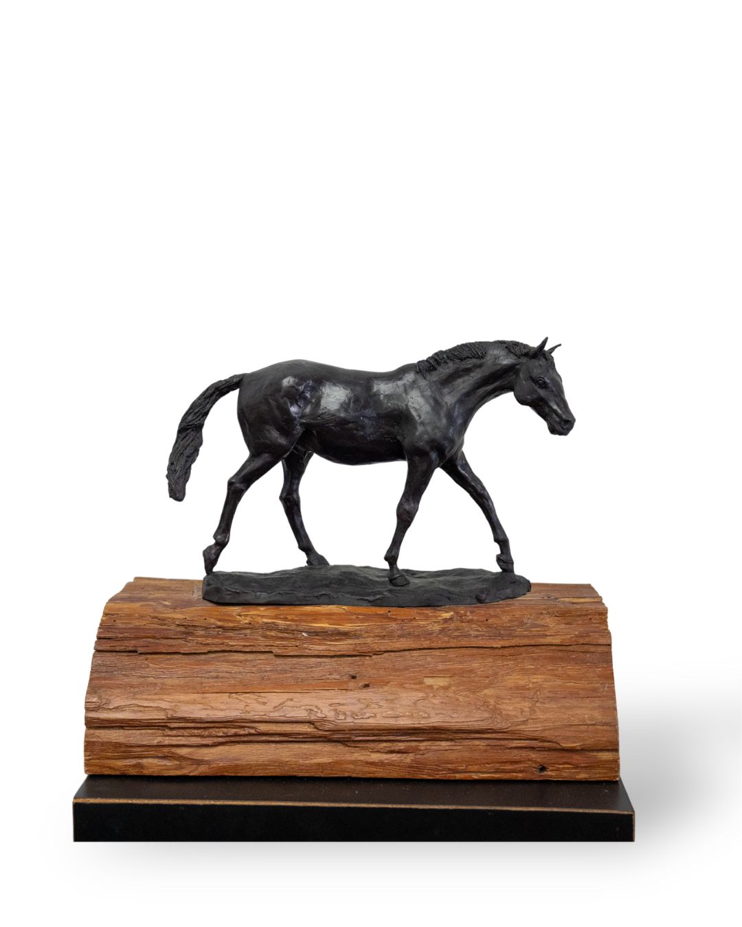 SHOW HORSE | SUSIE STROH BRONZE SCULPTURE