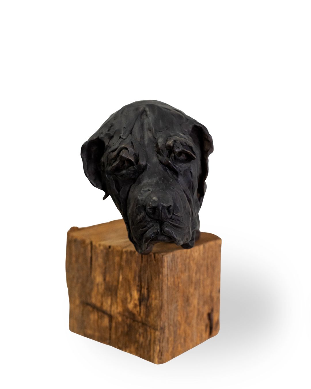BUDDY | SUSIE STROH BRONZE SCULPTURE