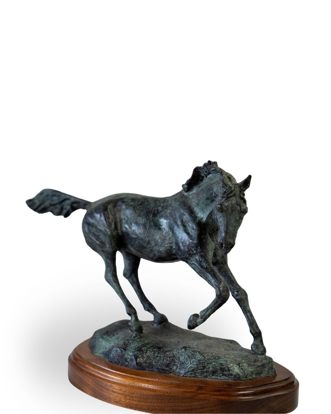 FRESH | SUSIE STROH BRONZE SCULPTURE