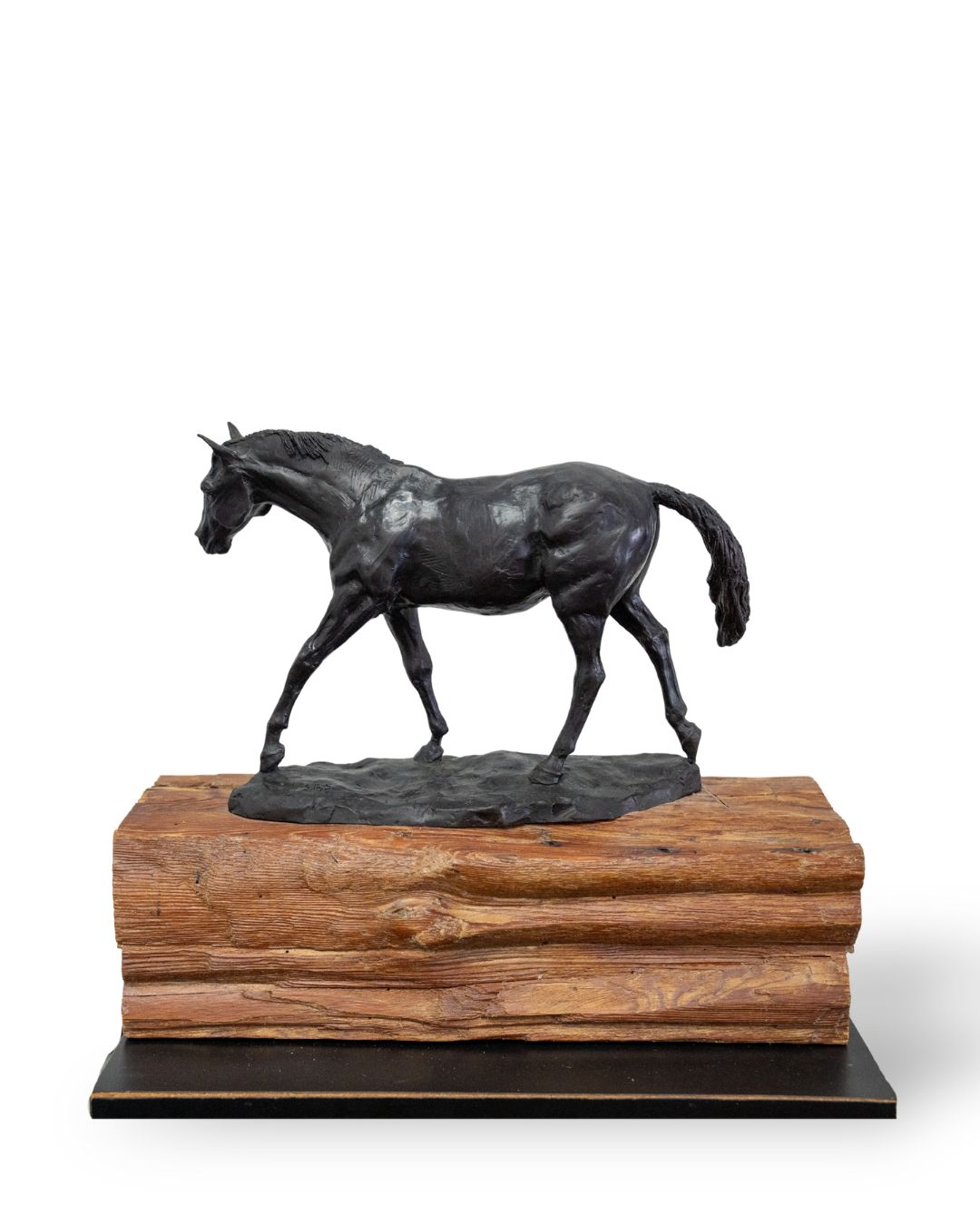 SHOW HORSE | SUSIE STROH BRONZE SCULPTURE