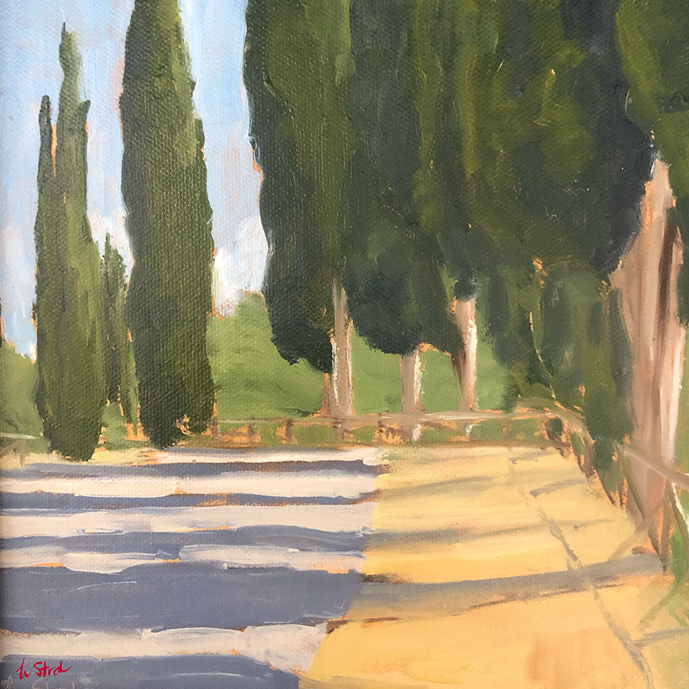 CYPRESS SHADOWS | Studio Sample