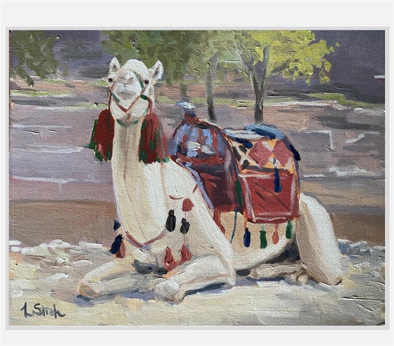 RESTING CAMEL | PRINT