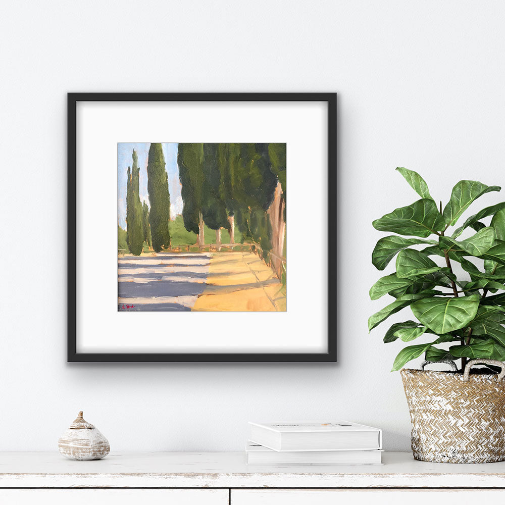 CYPRESS SHADOWS (PAPER PRINT) | SAMPLE SALE