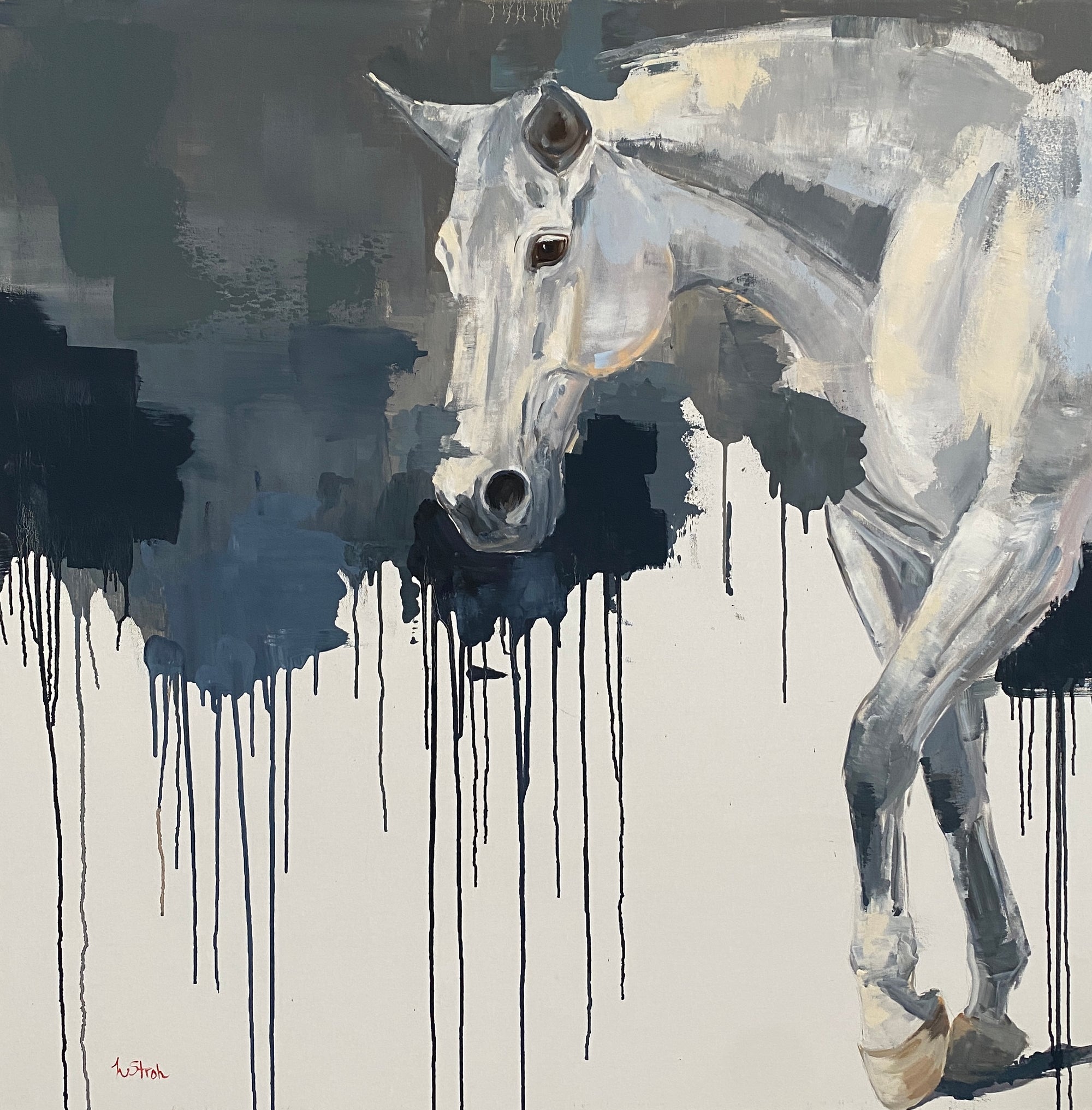 a white horse walking and dripping dark background. 
