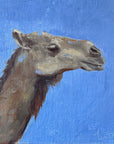 MOROCCAN CAMEL