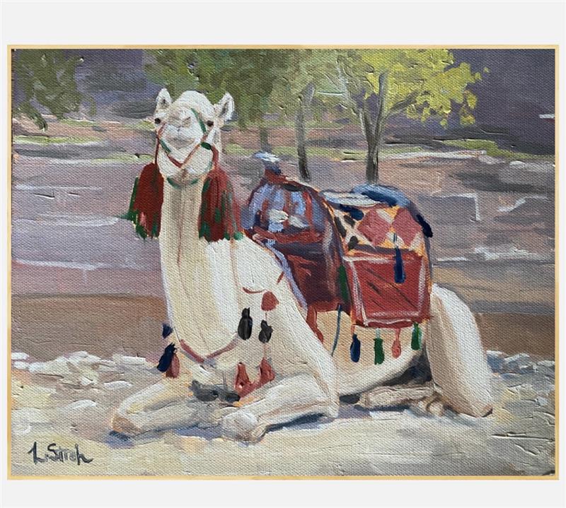 RESTING CAMEL | PRINT