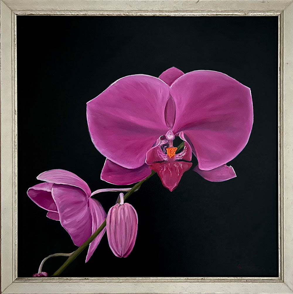 ORCHID 1 | 24 x 24