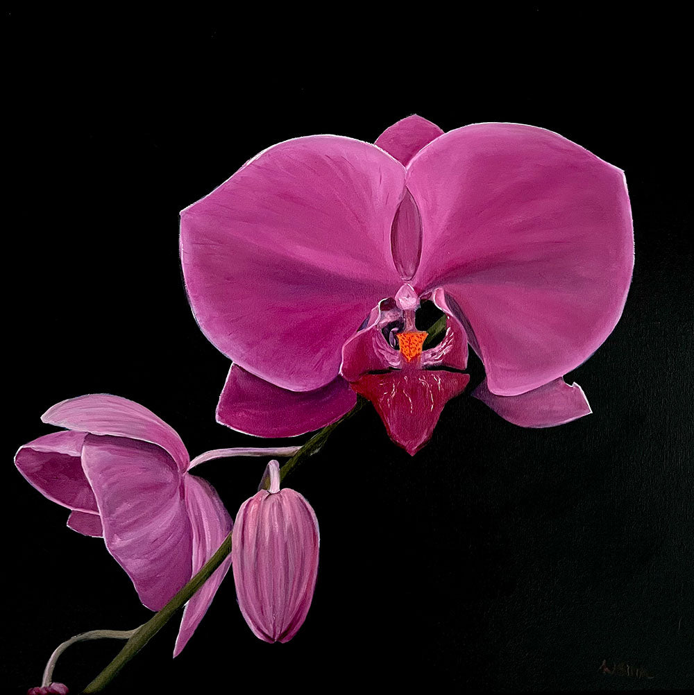 ORCHID 1 | 24 x 24