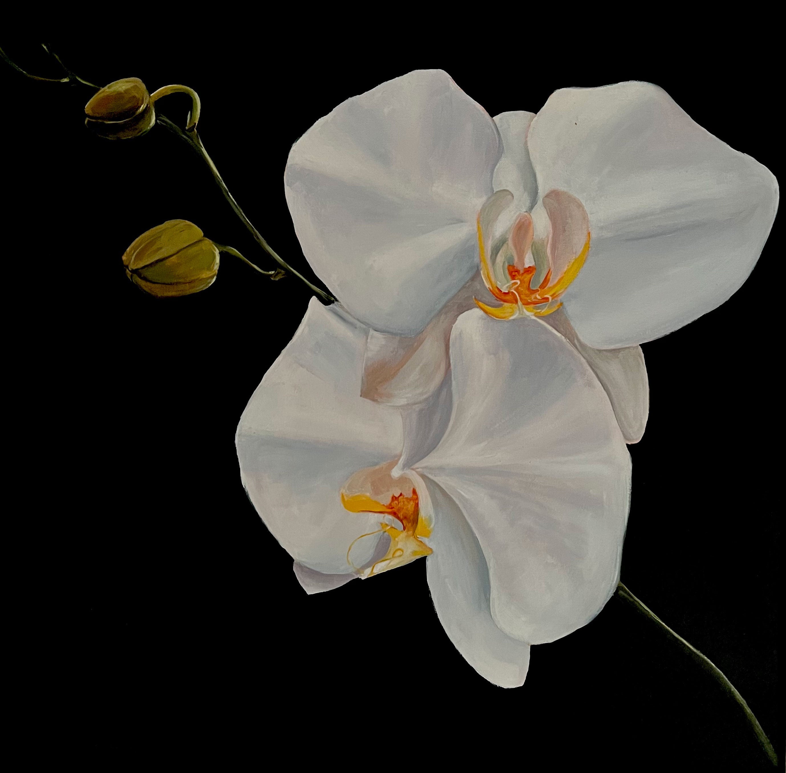 ORCHID 2 | 24 x 24